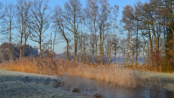 Midwinterhoornwandeling 't Slat - 't Noasman