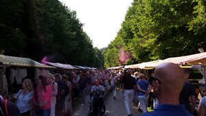 Curiosa Antiek en Brocante Fair Beeckestijn