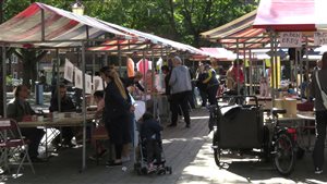 Kunstmarkt Kunstzinnig Transvaal