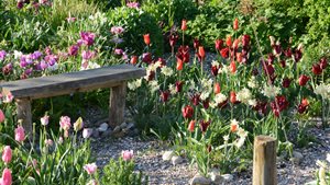 Bezoekdagen Tuin de Pionier-Ster