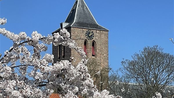 Lunchconcert pianist Edgar van Boven