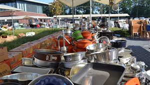 Gezellige Rommelmarkt - Antiek- en boekenmarkt