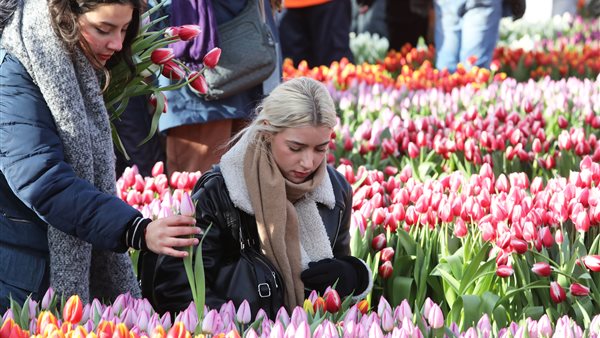 Nationale Tulpendag