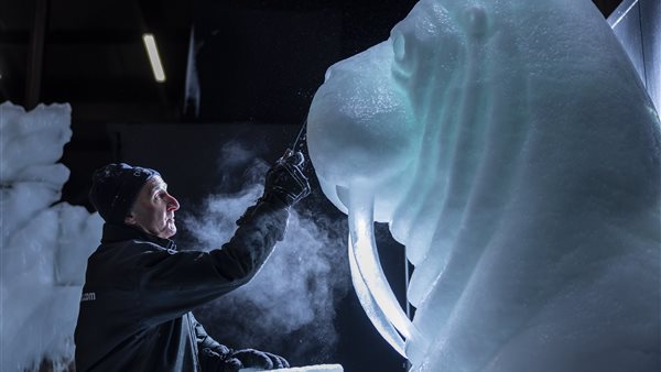Nederlands IJsbeelden Festival
