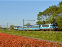 Gouda Dinner Train in promo