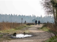 Lente Wandelfestival