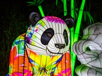 Light Nights in Ouwehands