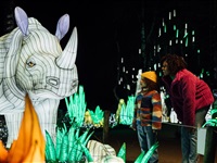 Light Safari in 