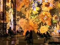 Van Gogh in 360 graden in 