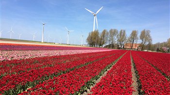 Leukste uittips in Flevoland