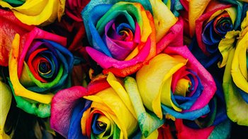 Populaire creatieve workshops in Nederland