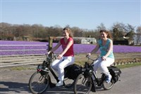 Solexrijden door de Bollenstreek