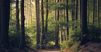 Buitenschool Curriculum van de natuur